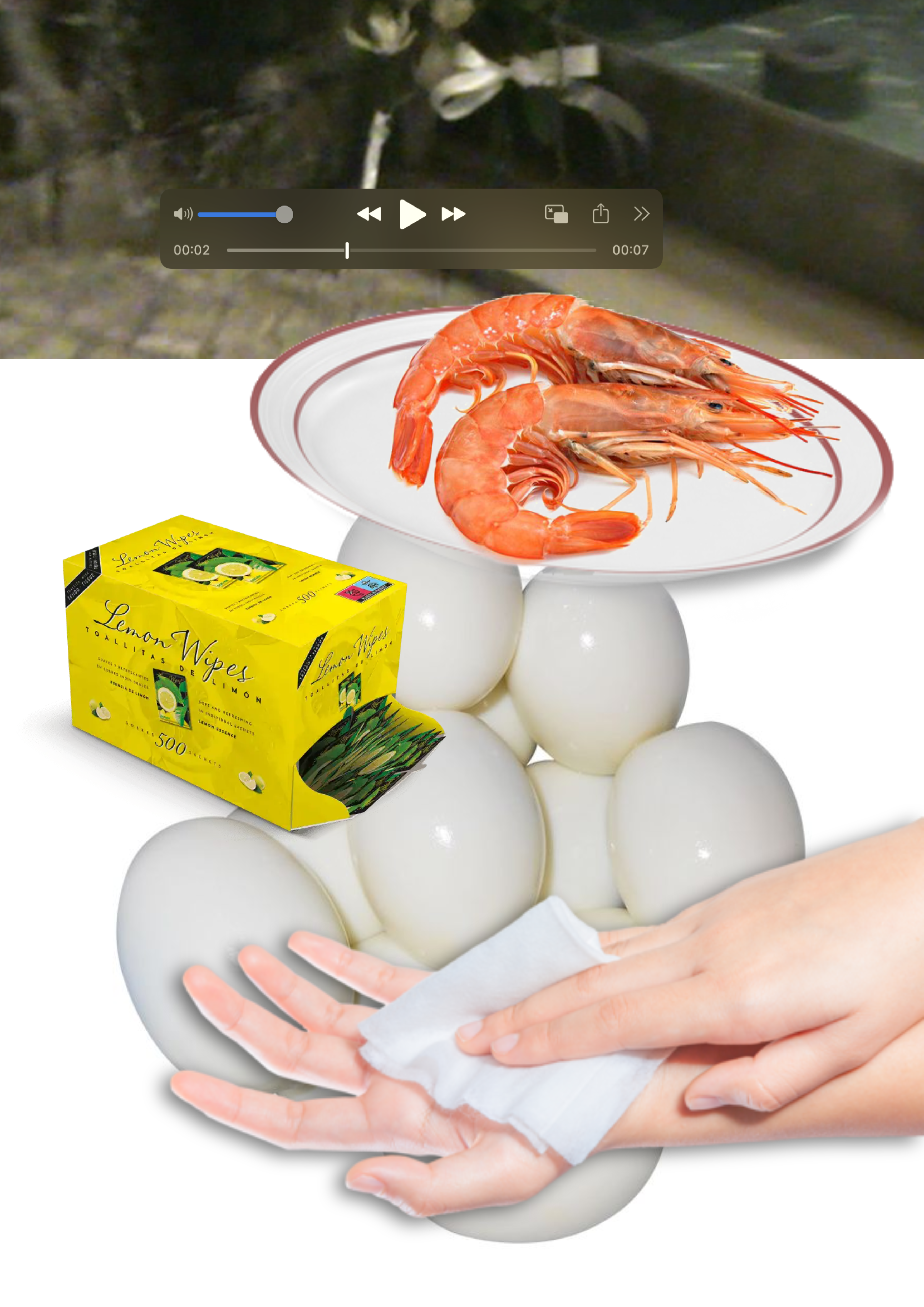 irmãs verdade: a vida como ela é